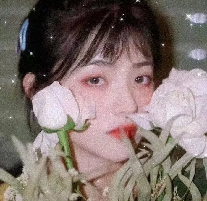 好莱坞诈骗女王